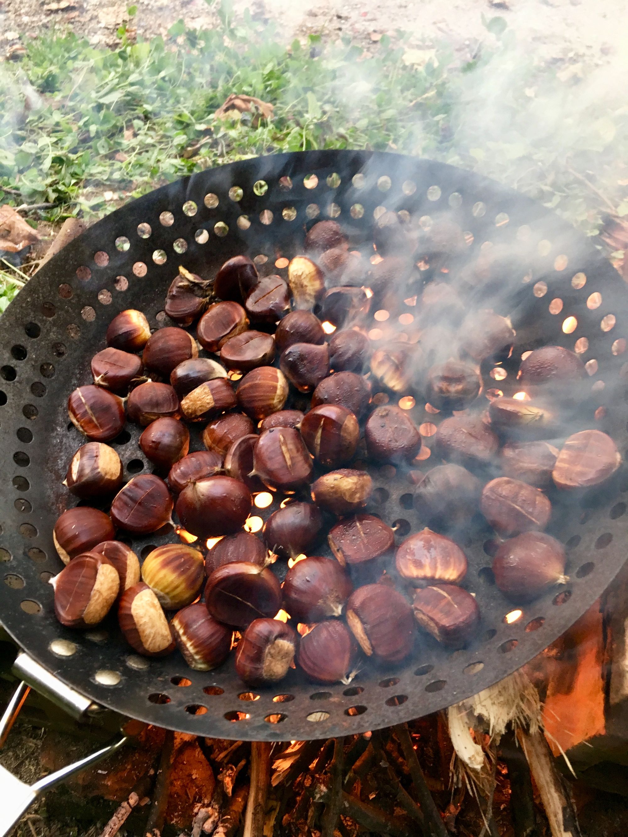 Pro tip: don't cook things over a fire while it's raining. Things get smokey very quickly.